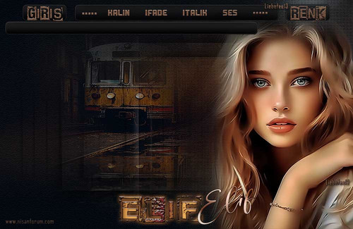 Bayan Radyo Tema 321 ELIF