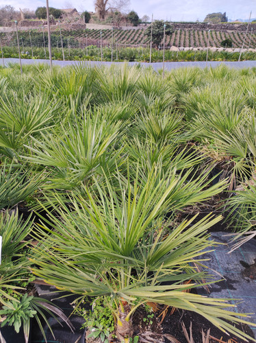 IMG 20240219 101648.jpg