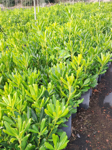 IMG 20240219 101349.jpg