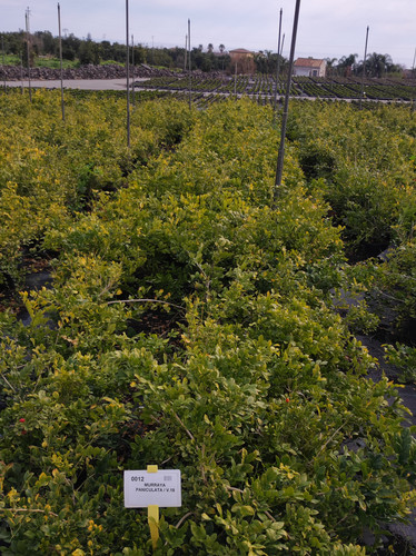 IMG 20240219 101202.jpg