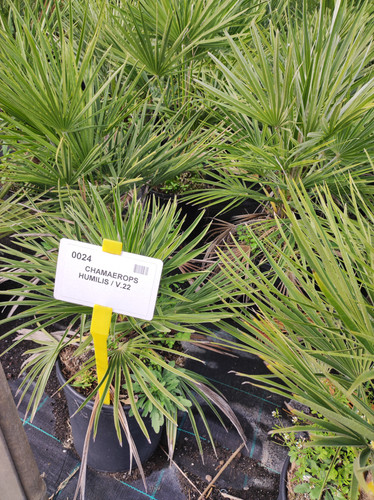 IMG 20240219 101640.jpg