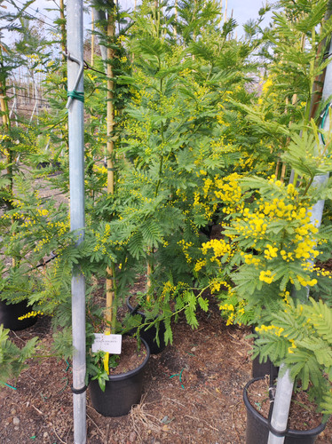 IMG 20240219 102057.jpg