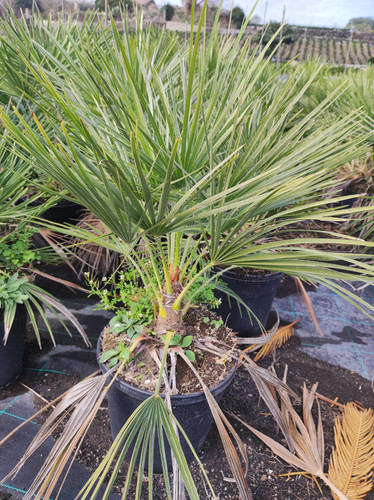 IMG 20240219 101643.jpg