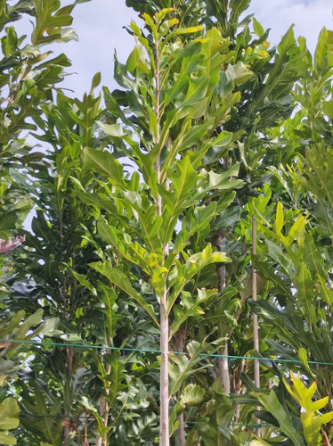 IMG 20240219 101955.jpg