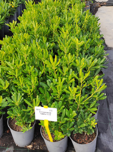 IMG 20240219 101341.jpg