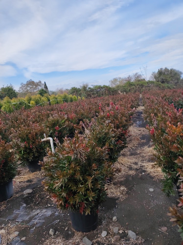 IMG 20240219 142540.jpg