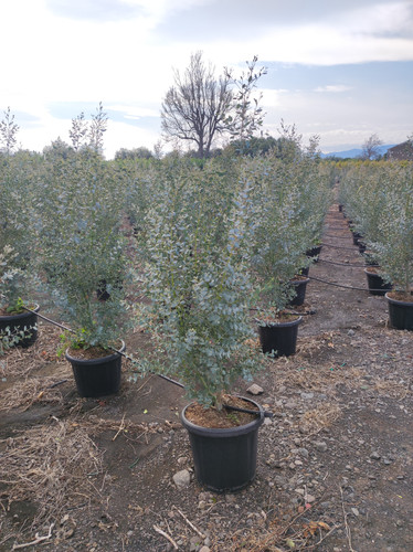 IMG 20240219 142643.jpg