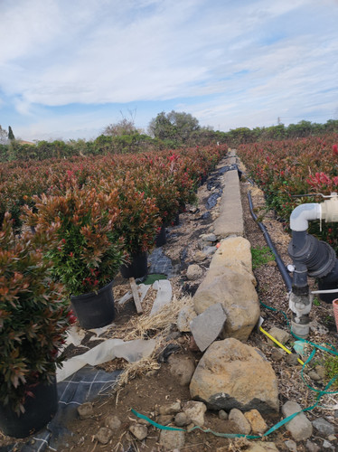 IMG 20240219 142535.jpg