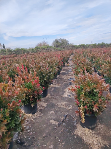 IMG 20240219 142536.jpg