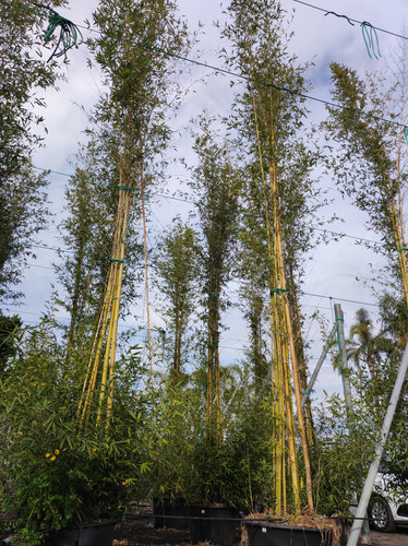 IMG 20240219 141633.jpg