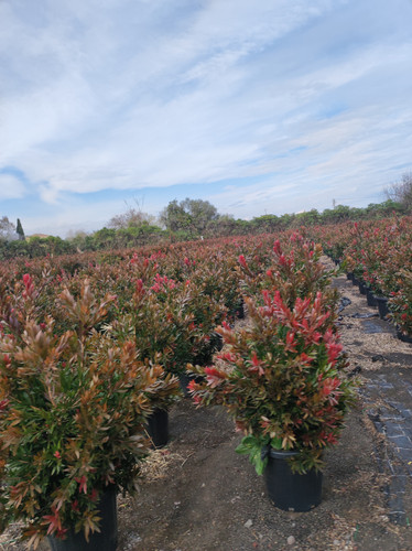 IMG 20240219 142534.jpg