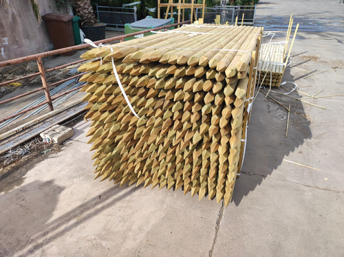 IMG 20240219 142048.jpg