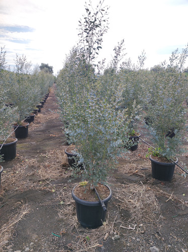 IMG 20240219 142648.jpg