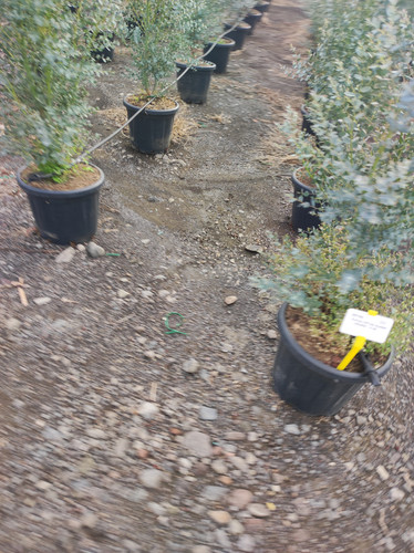 IMG 20240219 142700.jpg