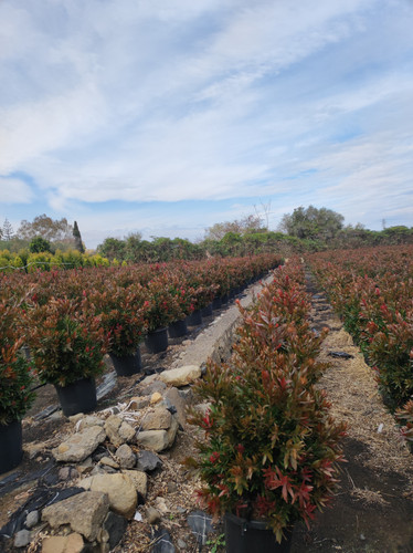 IMG 20240219 142538.jpg