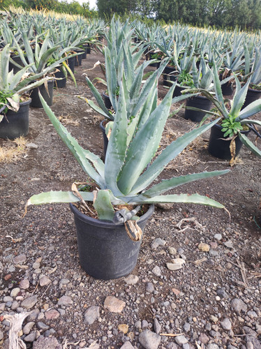 IMG 20240219 142902.jpg