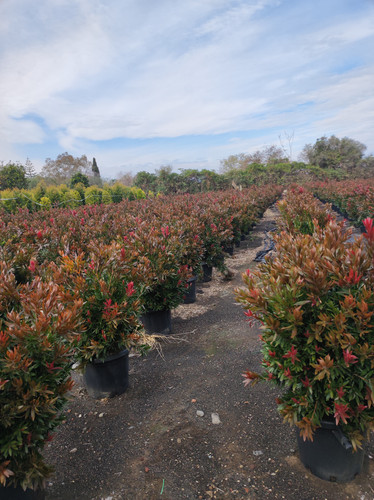 IMG 20240219 142539.jpg