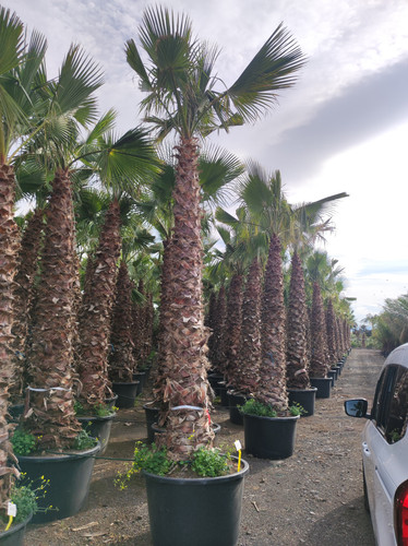 IMG 20240219 143104.jpg