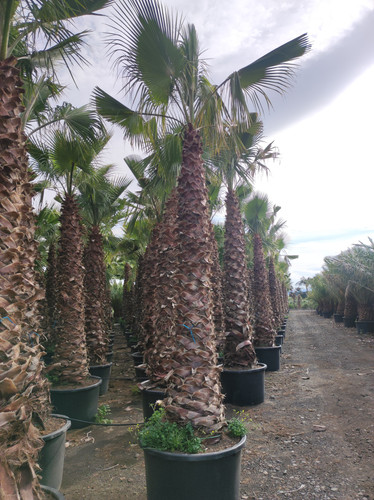 IMG 20240219 143113.jpg