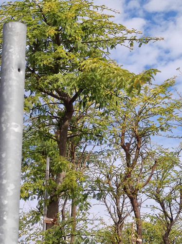 IMG 20240219 102528.jpg