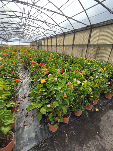 IMG 20240219 102738.jpg