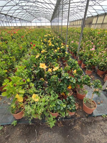 IMG 20240219 102730.jpg