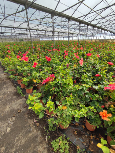 IMG 20240219 102725.jpg