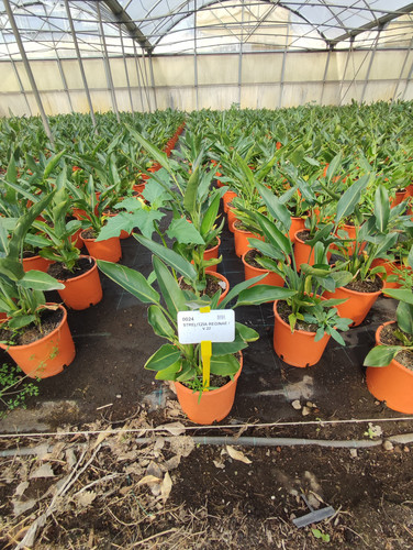 IMG 20240219 102746.jpg