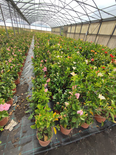 IMG 20240219 102735.jpg