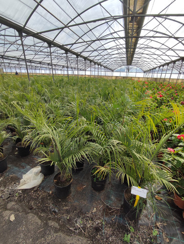 IMG 20240219 102708.jpg