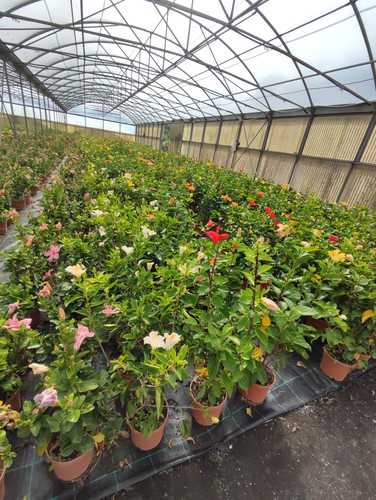 IMG 20240219 102736.jpg