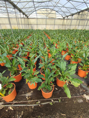 IMG 20240219 102749.jpg