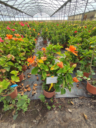 IMG 20240219 102721.jpg