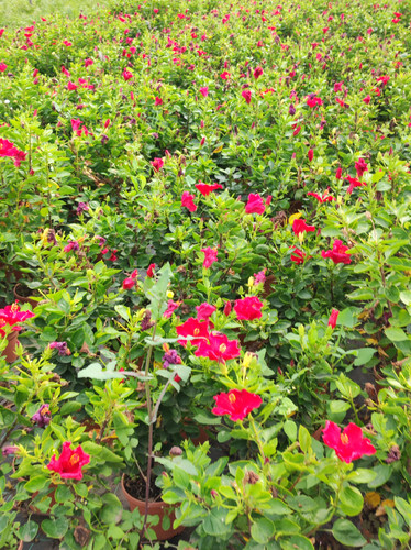 IMG 20240219 102628.jpg