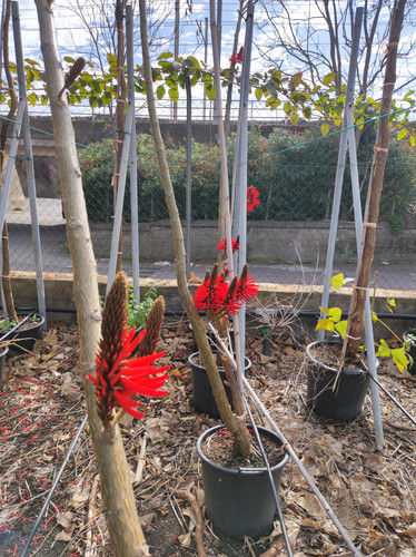 IMG 20240219 103045.jpg