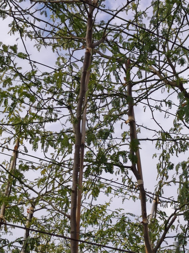 IMG 20240219 102337.jpg