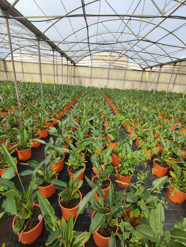 IMG 20240219 102751.jpg