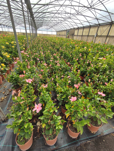 IMG 20240219 102733.jpg