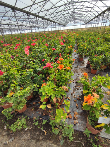 IMG 20240219 102723.jpg