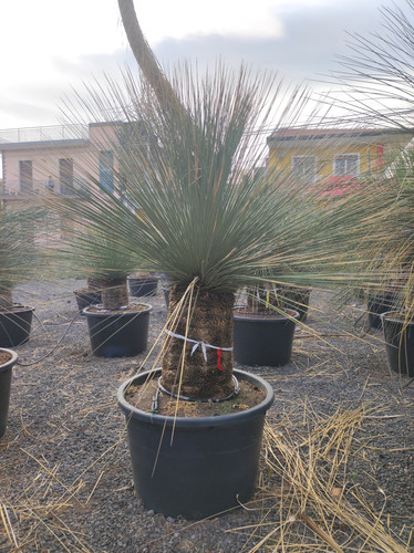 IMG 20240219 161806.jpg