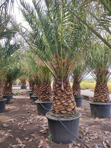 IMG 20240219 143222.jpg