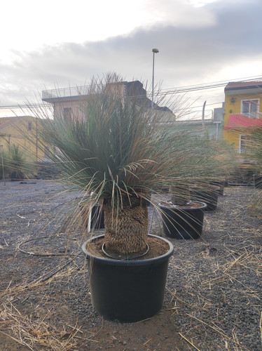 IMG 20240219 161809.jpg