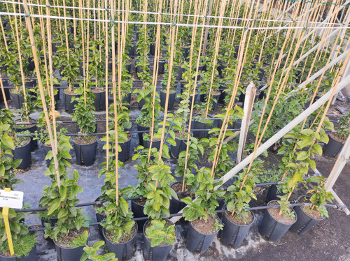 IMG 20240219 160733.jpg