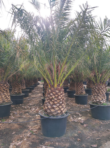 IMG 20240219 143204.jpg