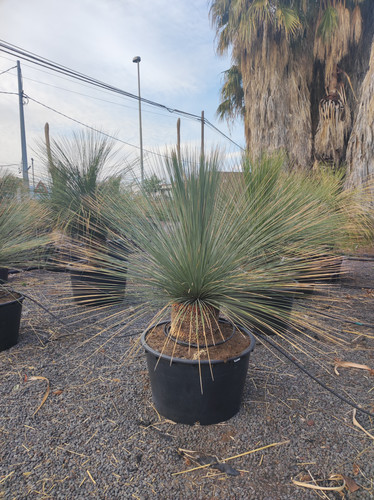 IMG 20240219 161825.jpg