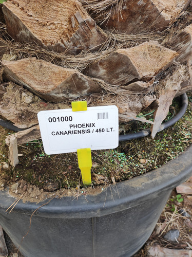 IMG 20240219 143146.jpg