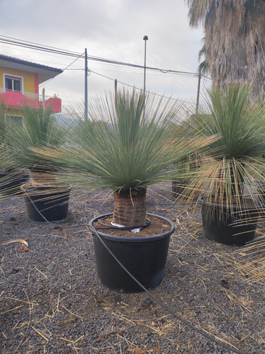 IMG 20240219 161815.jpg