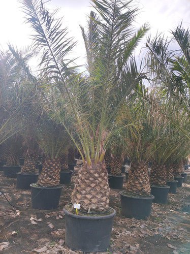 IMG 20240219 143153.jpg