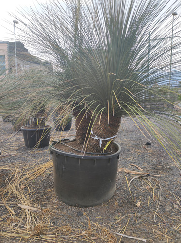 IMG 20240219 161802.jpg