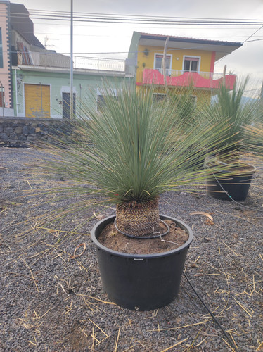 IMG 20240219 161818.jpg